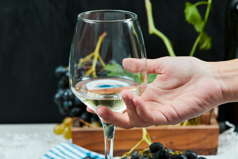 Verget Bourgogne Terres De Pierres Hong Kong Wine Guide